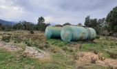 Trail Walking La Garde-Freinet - 20200216 reco La Mourre - Photo 2