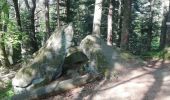 Trail Walking Reinhardsmunster - Schuetzenfelsen - Photo 2