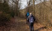 Trail Walking La Roche-en-Ardenne - Balade à Samrée - Photo 6