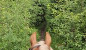 Trail Horseback riding Dommartin-lès-Remiremont - 2022-06-06 Rando CVA Dommartin Les Remiremont Le Tholy - Photo 1