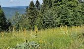 Randonnée Marche Septmoncel les Molunes - Jura Monts et Comté 2020-07 #J6 Pré Fillet - Les Arobiers 18 km - Photo 1