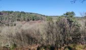 Randonnée Marche Saint-Ouen-le-Brisoult - Les Gorges de Villiers - Photo 8