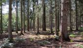 Trail Walking Vielsalm - Initiation bivouac j1 - Photo 7