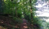 Trail Walking Masevaux-Niederbruck - Les Dames nobles de Masevaux  - Photo 6