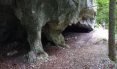 Tocht Stappen Aiguebelette-le-Lac - Montagne de l'Epine 2.6.24 - Photo 2