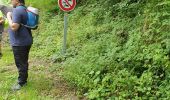 Trail Walking Écouves - OT les Haras de Radon à Damigny - Photo 16