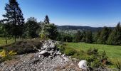 Tocht Stappen Le Tholy - sentier du blaireau jusqu'en Ecosse - Photo 2