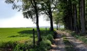 Tour Wandern Neufchâteau - Verlaine - Cap au vert - Photo 10