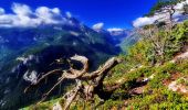 Tour Wandern Freissinières - r3682-les-cretes-de-la-rortie-1698m - Photo 12