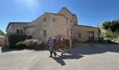 Trail Horseback riding Revest-du-Bion - Provence 2025 J5 - Photo 19
