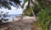 Tocht Stappen Sainte-Anne - baie des anglais - Photo 1