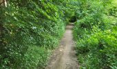 Trail Walking Fosses-la-Ville - Vitrival 030625 - Photo 19