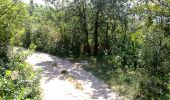 Trail On foot Bovezzo - Sentiero dei marroni - Photo 4