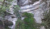 Trail Walking Vuillafans - vuillafans cascades tuffière et raffenot - Photo 13
