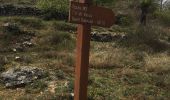 Trail Walking Vence - Plan de noves Baou noir - Photo 3