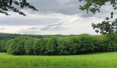 Trail Walking Theux - entre la ferme st Remacle et Hodbomont - Photo 15