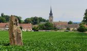 Randonnée Marche Le Vaudoué - Boucle autour de Le Vaudoue - Photo 16