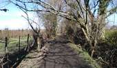 Trail Walking Dalhem - dalhem - Balade 5 - feneur  - Photo 5