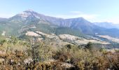 Trail Walking Ponet-et-Saint-Auban - Ponet-et-St-Auban - Montagne de Desse - Marignac - Photo 13