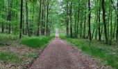 Trail Walking Noisy-sur-Oise - forêt de carnelle - Photo 2