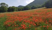 Tocht Stappen Treffort - Les Passerelles du Monteynard - Photo 13