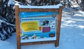 Trail Snowshoes Lans-en-Vercors - Belvédère des Cimes et Moucherotte en raquettes - Photo 11