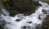 Trail Walking Vaire - arcier sources - Photo 12