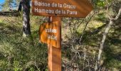 Trail Walking Lucéram - Col St Roch boucle - Photo 1