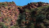 Tour Wandern Saint-Claude - La Soufrière - Photo 6