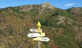 Randonnée Marche Vallées-d'Antraigues-Asperjoc - antraigues la violle - Photo 14