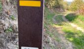 Trail Walking Sobrado e Bairros - Castelo de Paiva - Douro (GR60) - Photo 17