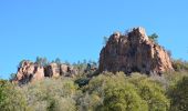 Tocht Stappen Le Muy - D47 - Colle Rousse et de Ruel - Fontaine du chasseur - Pic Rébéquier - Château du Rouet - Photo 7