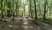 Randonnée Marche Esneux - à travers les bois d Anthines et d Esneux - Photo 3