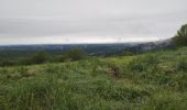 Randonnée Marche Beure - fort planoise, Valmy, fontain - Photo 7