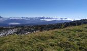 Tour Wandern Fillière - la tête du Parmeka  - Photo 3