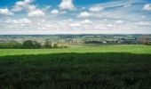 Tour Mountainbike Wirten - Chemin transfrontalier des mines de fer  -  Balade_VTT_51kms - Photo 3