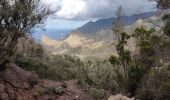 Tour Wandern Santa Cruz de Tenerife - Afur - Taganana - Photo 18