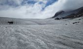 Trail Walking Tignes - approche glacière de la cime de la Golette - Photo 18