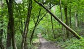 Tour Wandern Eijsden-Margraten - Rijckholt - Photo 12