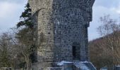 Tour Zu Fuß Lindenfels - Rundwanderweg Lindenfels 1: Wanderung nach Winterkasten - Photo 10