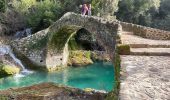 Randonnée Marche Montauroux - Gorges de la Siagne - Photo 6