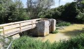 Tour Wandern Gragnague - Ronde des berges Gragnagne - Photo 1