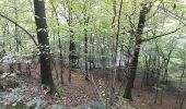 Percorso Marcia Érezée - oppagne ac 2 - Photo 1