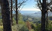 Randonnée  Mandelieu-la-Napoule - Forêt du Grand Duc - Tanneron - Photo 1