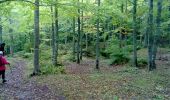 Trail On foot San Romano in Garfagnana - IT-58 - Photo 2