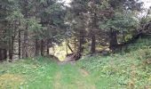 Trail Walking Laval-en-Belledonne - PETITE RANDONNEE AU DEPART DU PONT DE LA BETTA  - Photo 13