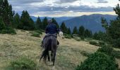 Trail Horseback riding Torla-Ordesa - Parc national d’Ordessa J2 - Photo 9