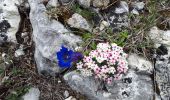 Randonnée Marche Chichilianne - Traversėe pas de l'Aiguille / pas de lEssaure - Photo 8