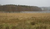 Tour Zu Fuß Feldberger Seenlandschaft - Krüseliner Rundweg - Photo 2