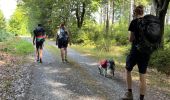 Tocht Stappen Houffalize - Initiation bivouac J2 - Photo 12